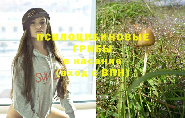 герыч Зеленокумск