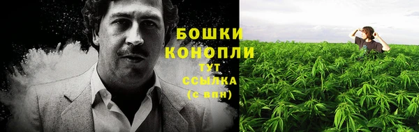 мет Инсар